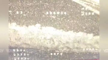 Гвардейцы-морпехи 55 дивизии морской пехоты группировки войск "Восток" вскрыли и уничтожили замаскированную позицию противника в одной и лесополос на Запорожском направлении