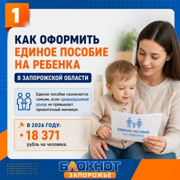 Как оформить единое пособие на ребёнка в Запорожской области