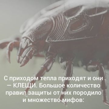 ����� �� ����: ��� �������� ���� � �����