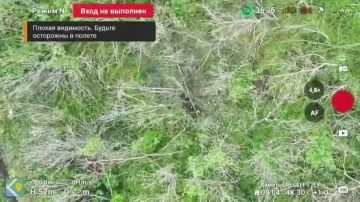 ������ �������: ������� ������� ���� 29 ����� ����������� ����� "������" �������� �������� �� ������ �����, ������� �������� ������������� � ������ ����� �. ������. ��������� �� ����������� ����������� �� �������� ������...
