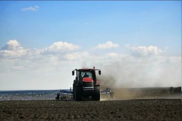 Аграрии Запорожской области завершили посевную кампанию