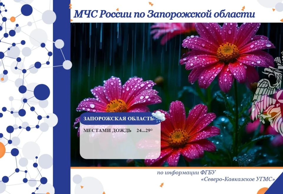 С 16 на 17 июня на территории региона ожидается: