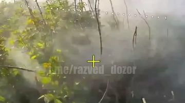 �������� ����� �� ���������� "�������"