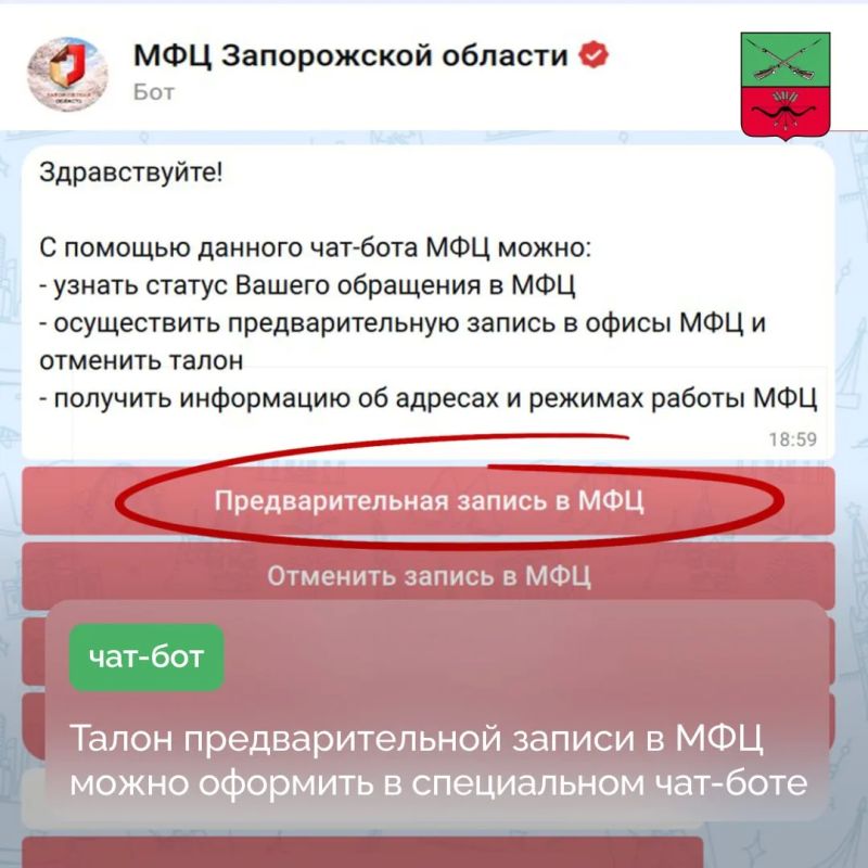 Чат-бот МФЦ Запорожской области