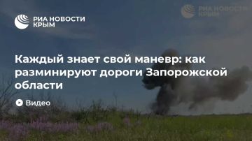 Каждый знает свой маневр: как разминируют дороги Запорожской области
