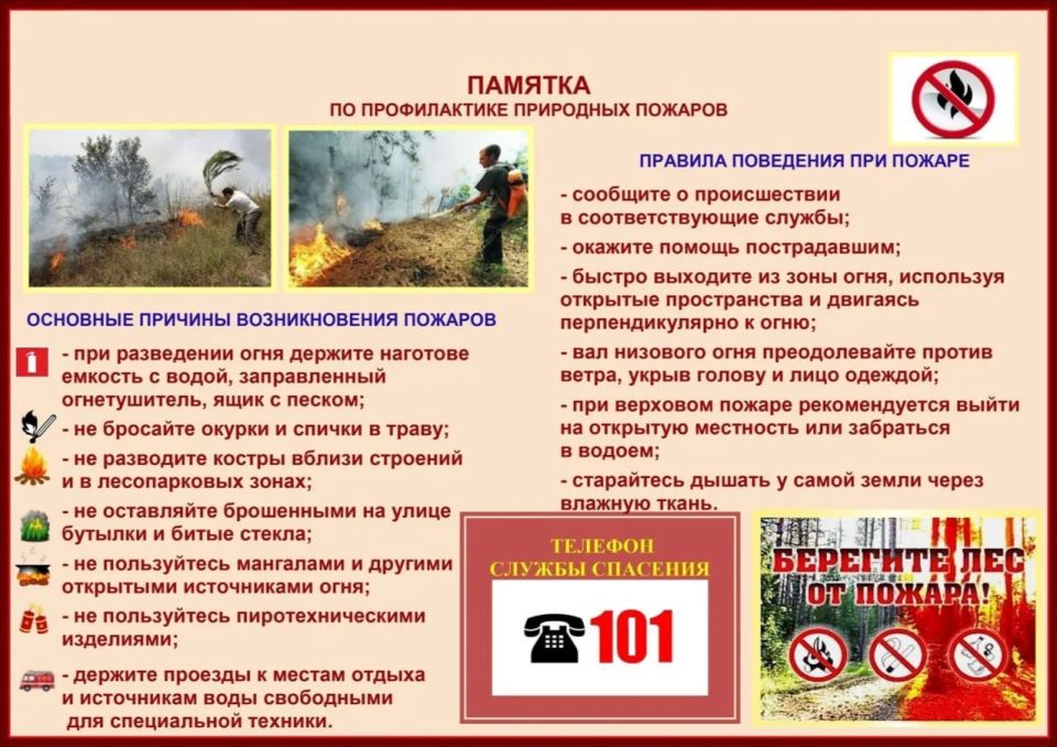 ПАМЯТКА ПО ПРОФИЛАКТИКЕ ПРИРОДНЫХ ПОЖАРОВ