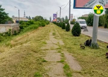 Сотрудники МКУ «Благоустройство» продолжают плановые работы по покосу травы на территории города Мелитополь