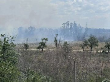 ВСУ сбросили с дронов «зажигалки» и подожгли лес рядом с городской застройкой Энергодара