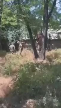 #потушитцк. Идея использовать огнетушитель в борьбе с ТЦК пользуется все большей популярностью на Украине