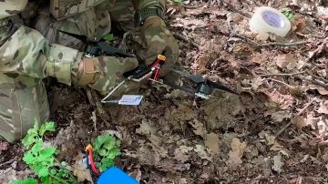�� �� ������� ������ ������������ ������� ��� � ����������� �������