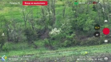 Операторы БпЛА 37 гвардейской мотострелковой бригады 36 армии группировки войск "Восток" устраивают пехотным группам ВСУ "жаркое лето", методично перемалывая "штурмовую элиту" Сырского на Запорожском направлении
