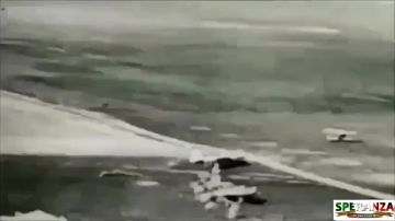 Светлой памяти павших в боях солдат против фашизма