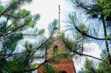 Доброе утро, Мелитополь