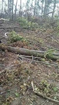 ������ �������: �������� ���� � �������� ���������� ������������ �� ����������� �����������