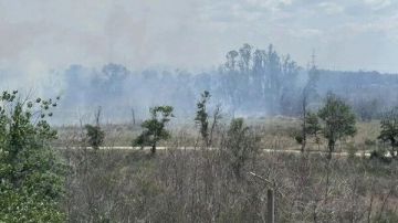 ВСУ с беспилотников подожгли лес возле городской застройки Энергодара