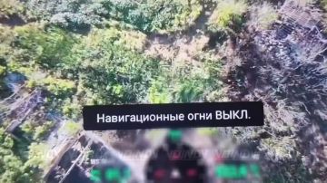 #��_�����������. �������� ����� ������������ ����������� � ������ � �������