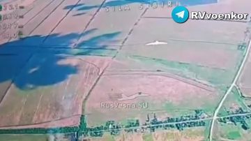 Бои в небе: 291 полк завоёвывает господство в воздухе