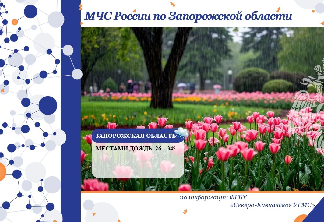С 24 на 25 июня на территории региона ожидается: