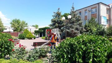 Ежедневные работы по уходу за растениями в Кирилловке