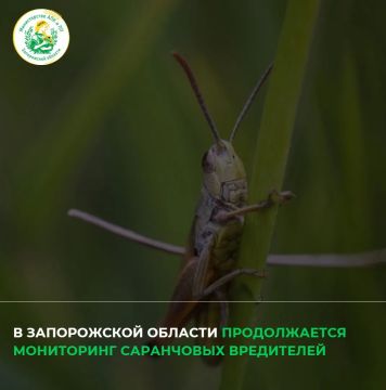 � ����������� ������� ���������� ���������� ���������� ����������