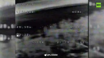 ����� ���: ����� ���� ���� ����� 1455