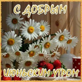 � ������ ����� ������������