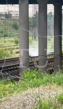 ������ �������: ���������: ���� �� ������������� ��������������� �������