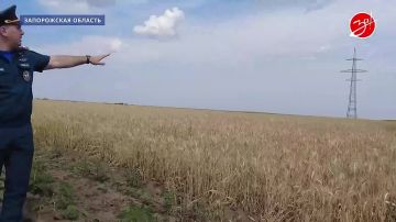 ����� �� �����: ��� ������� ������ �� ������?
