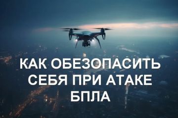 ������� ������������ �������������� ������ �� �������: ��� ����� �������