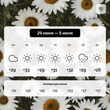 ������ � ����������� ������� �� 29 ���� � 5 ����