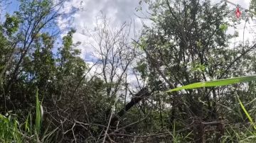 ���������� ������: 00:00 ������� ������ �-30 �� ������� 80-�� ��������� ����� 90-� ����������� �������� ������� ����������� ������ ���������� ���������� ������� ��� �� ���������������� �����������