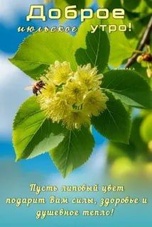 � ������ ����� ������������