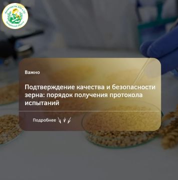 Для целей декларирования и внесения данных во ФГИС «Зерно» сельхозтоваропроизводителям необходимо подтверждение качества и безопасности зерна по результатам лабораторных исследований