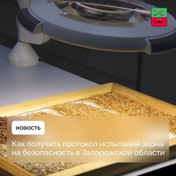 Важная информация для сельхозпроизводителей Запорожской области