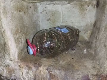 Более 800 патронов изъяли полицейские в Запорожской области