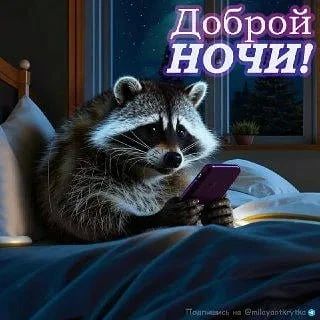 ������ ����, ������� ����������! ������ ����, ���������!