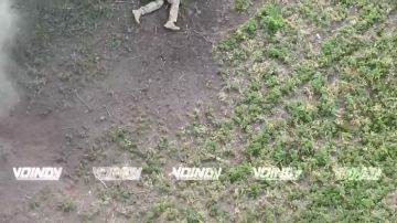 ��������� ���� 14 ��������� ����������� ������� �������� ����������� ����� ������� ������� � �������� ����� ���� ���������� �� ����������� �����������