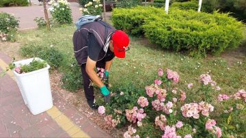 В Кирилловке продолжаются работы по облагораживанию территорий