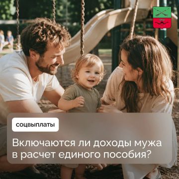 Порядок учета состава семьи и доходов при назначении единого пособия