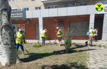 В Мелитополе сотрудники МКУ «Благоустройство» привели в порядок газоны на проспекте 50-летия Победы