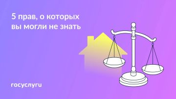Запомните и поделитесь: эти права пригодятся в обычной жизни