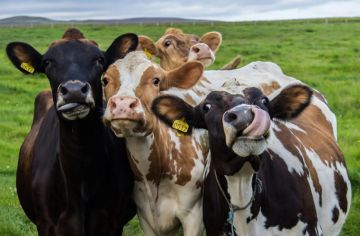 � ����������� ������� ��������� ����� �� ��������� �������� � ����� ���������� ��������������