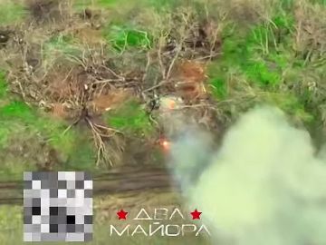 ��� ������: ����������� �����������. ����� ��.����������