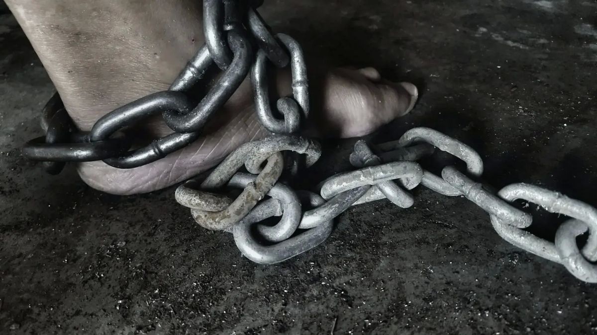 «Рабовладелец» и его подельник отправятся в колонию на длительный срок