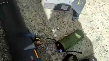 �� ������� ����� � ����� � �������, �� �������� ������� ������� ���