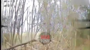 WarGonzo: Наши дроноводы на Запорожье разоряют гнёзда оппонентов