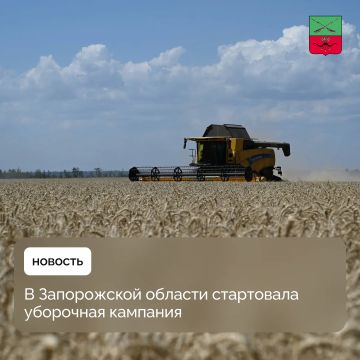 1 млн га планируют убрать аграрии Запорожской области