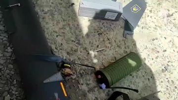 ���������� ��������� ���� � ������� � ������ ������� ����������� �������