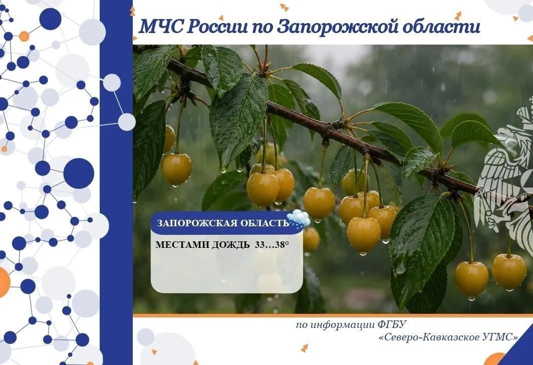 Чрезвычайный прогноз по Запорожской области на 3 июля