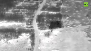 Мощный прилёт артиллерии: гаубицы Д-30 ВДВ разгромили замаскированную позицию расчёта БПЛА противника в Малокатериновке Запорожской области